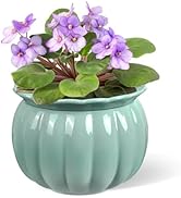 BUYMAX African Violet Pots, 6 inch Pumpkin-Style Ceramic Easy Self Watering Plant Pot for Busy Pl...