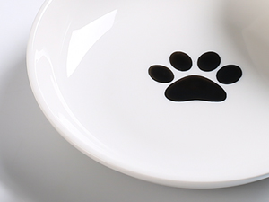 cat food dishes for indoor cats