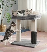 cat tree for indoor Cats Large Adults
