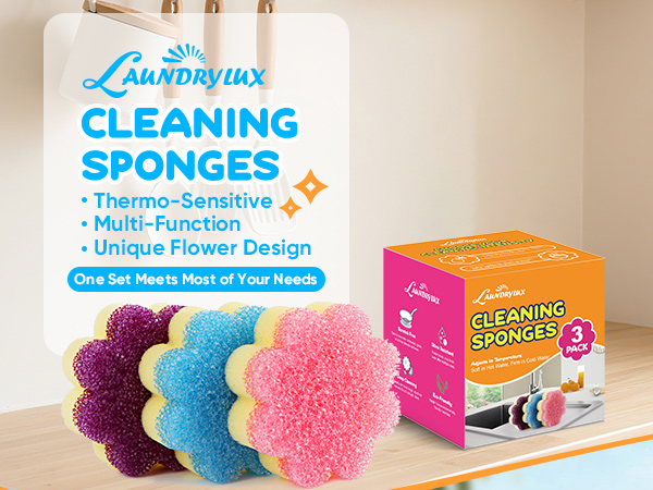 cleaning sponges
