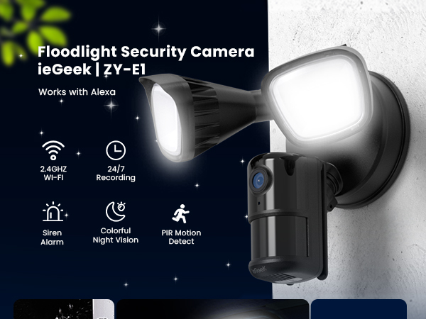 security camera with light