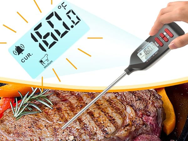 meat thermometer for grilling steak