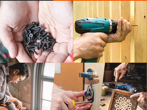 Pro-Grade 210 Pcs Wood Screws Assortment Kit