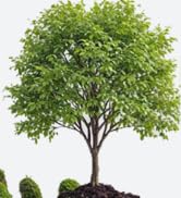 Less Waste More Value Over Time