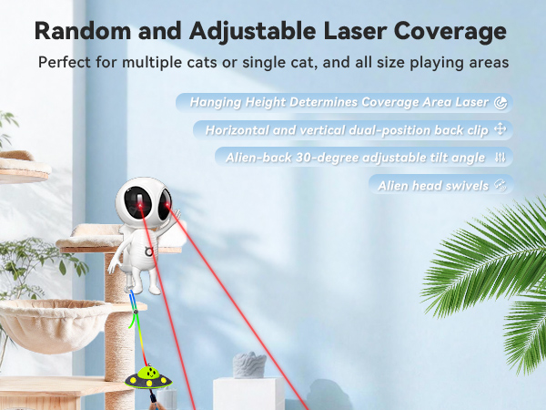 cat toys
