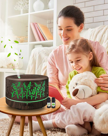 https://m.media-amazon.com/images/S/aplus-media-library-service-media/dd72f1ff-a415-4a74-be8a-c812cf5c645e.__CR0,0,362,453_PT0_SX362_V1___.jpg