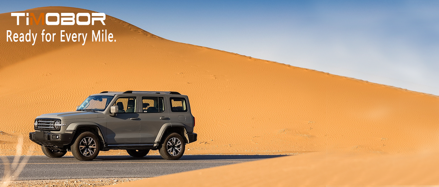 Portable Tire Inflator