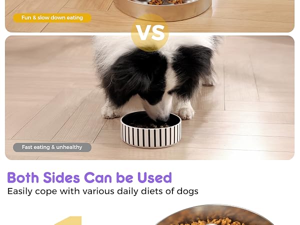slow feeder dog bowls