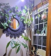 E26 A19 Grow LED bulbs