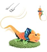 Migipaws Cat Toys, Touch Activated Flapping Chirping Lizard Kitten Toy with Catnip for Indoor Cat...
