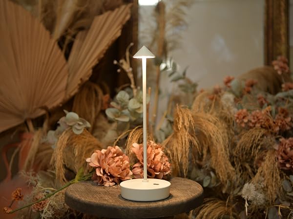 2Pack Rechargeable Cordless Table Lamp