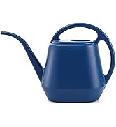 Fasmov Plastic Watering Can, 1-Gallon, Blue