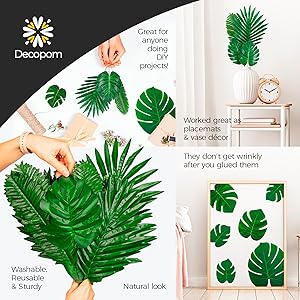 palm leaf