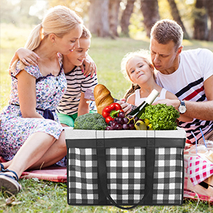 Reusable Grocery Bags