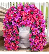 Lifewit Artificial Bougainvillea Flowers, 2 PCS Plastic Long Trailing Vines Fake Flowers for Outd...