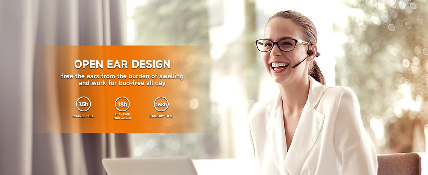 wireless headphones with mic