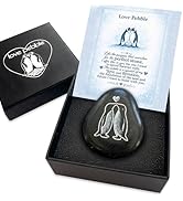 Faythory Cute Penguin Love Pebble – Romantic Penguin Stone Gift for Boyfriend, Girlfriend, or Fia...