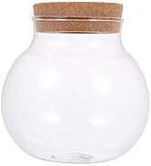 Mipcase Glass Plant Terrarium Air Plant Planter Globe Miniature Micro Landscape Pot Propagation S...