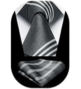 HISDERN Pre Tied Ties for Men Adjustable Mens Tie Classic Paisley Stripe Necktie and Pocket Squar...