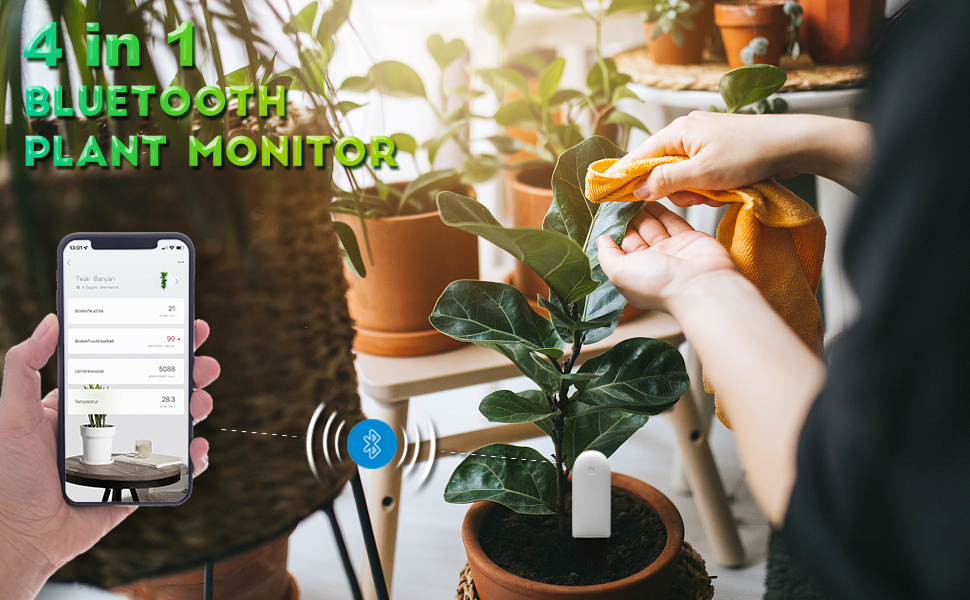Soil Moisture Meter