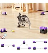 AsFrost Upgraded Interactive Cat Toy for Indoor Cats, Auto/Manual Control DIY Cat Feather Mouse T...