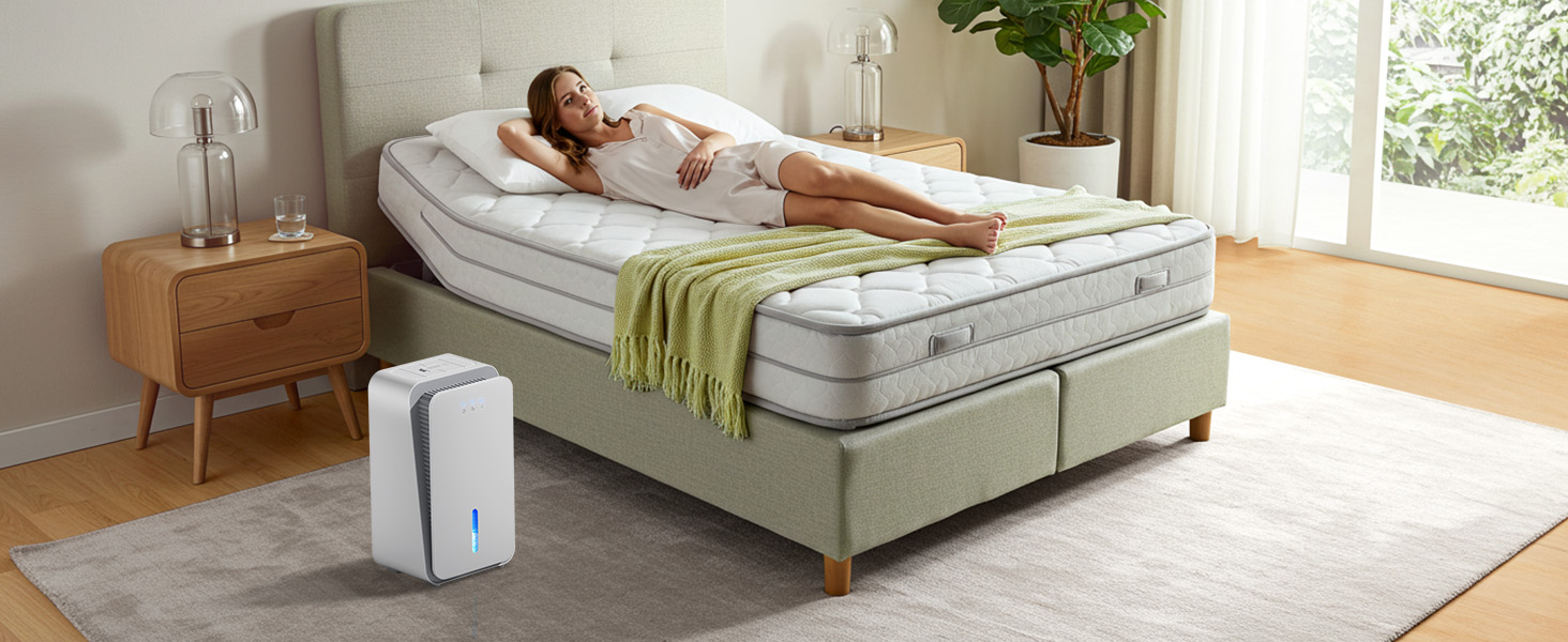 dehumidifier for bathroom