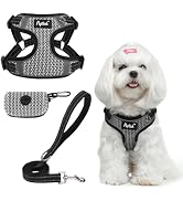 PUPTECK No Pull Dog Harness and Leash Set Reflective No Choke Step in Puppy Halter for XS Small a...