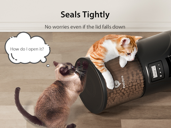 auto cat feeder