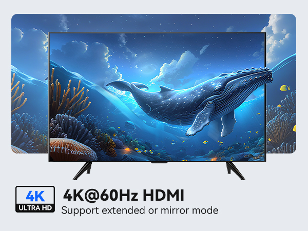 CLIP DOCKING STATION