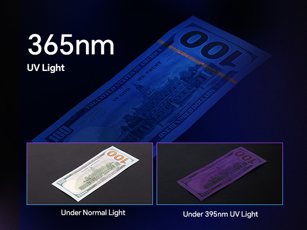 Black Light Flashlight