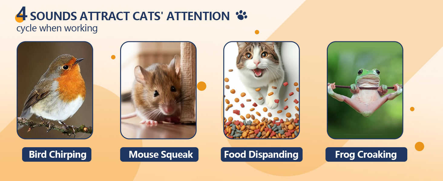 Smart Cat toy