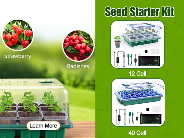 Seed starter try