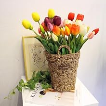 Tulips Flowers