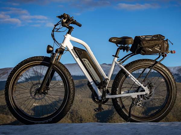 ebike bag