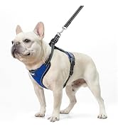 PUPTECK Dog Harness and Leash Set for Small Medium Sized Dogs, No Pull Dog Harness for Walking Tr...