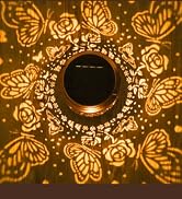 Hanging Solar Lights