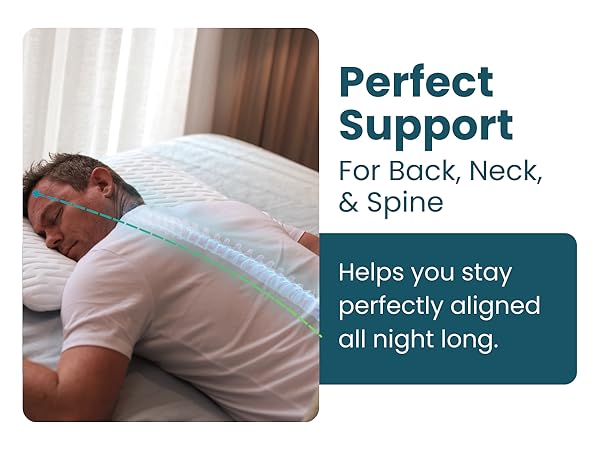 Pillow Side sleeper stomach belly thin profile memory foam cooling ergonomic hypoallergenic pain