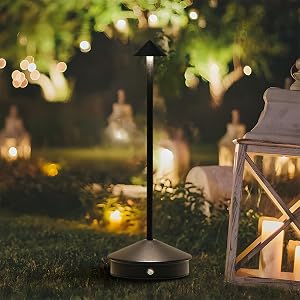 cordless lamp