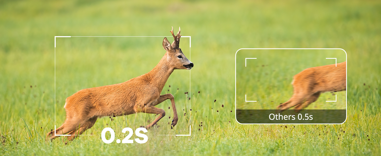 trail camera