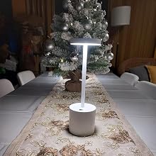 LED Table Lamp