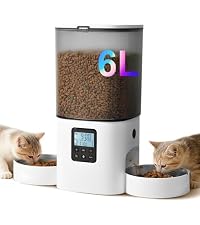 https://m.media-amazon.com/images/I/41Ab-lAiPZL.__AC_SR200,225___.jpg