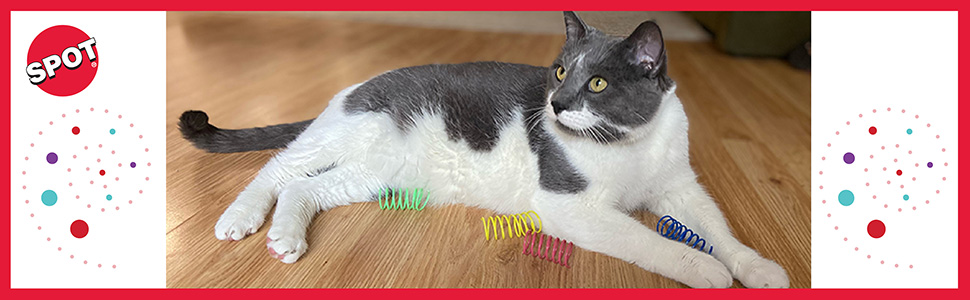 Kitty tou intercative fun boredom buster indoor cats cheap exerciser fly mental stimulation round