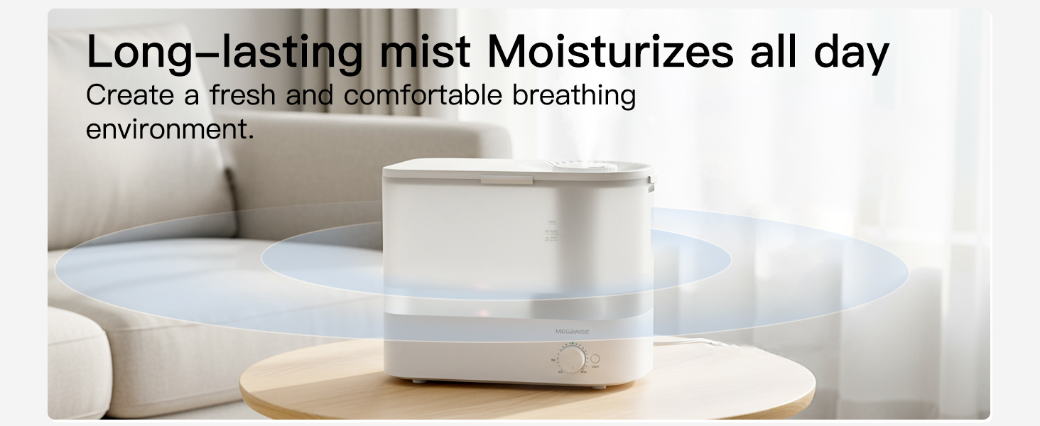 Humidifier