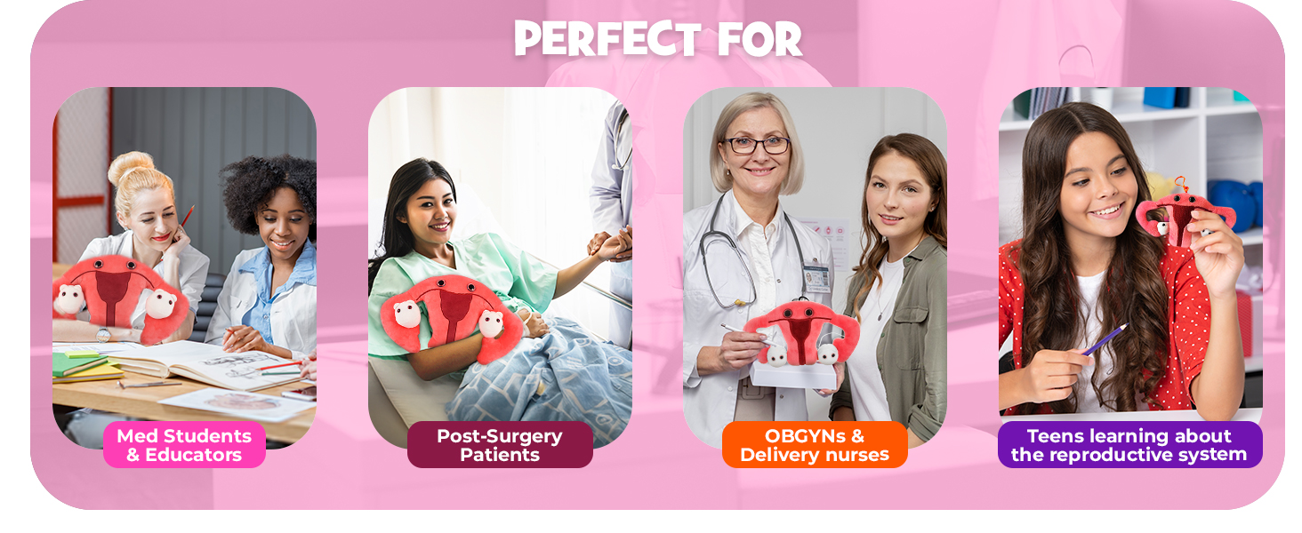 hysterectomy recovery gifts funny medical gifts labor and delivery gifts anatomy teacher gifts