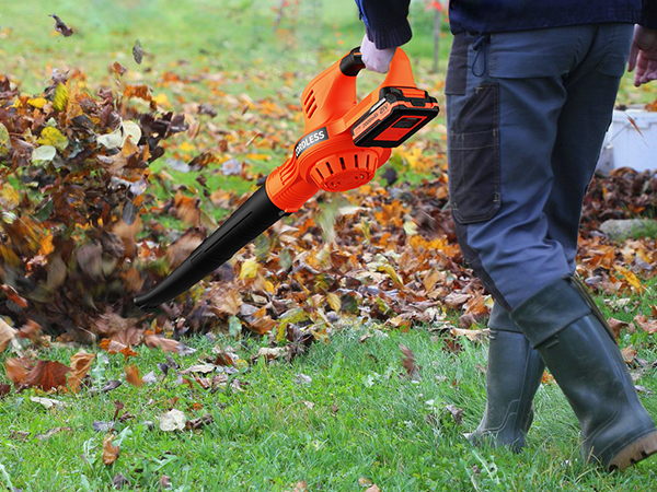 small leaf blower