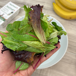 Dirty lettuce that needs washing