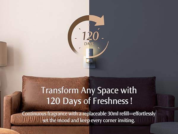 Transform Any Space with 120 Days of Freshness!