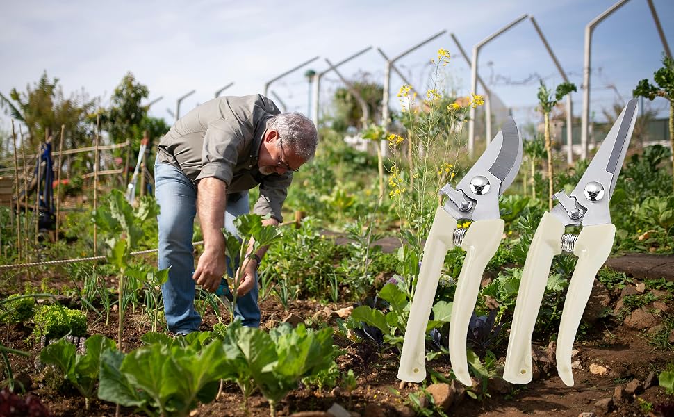 pruning shears