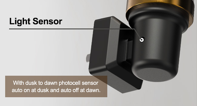 Light Sensor