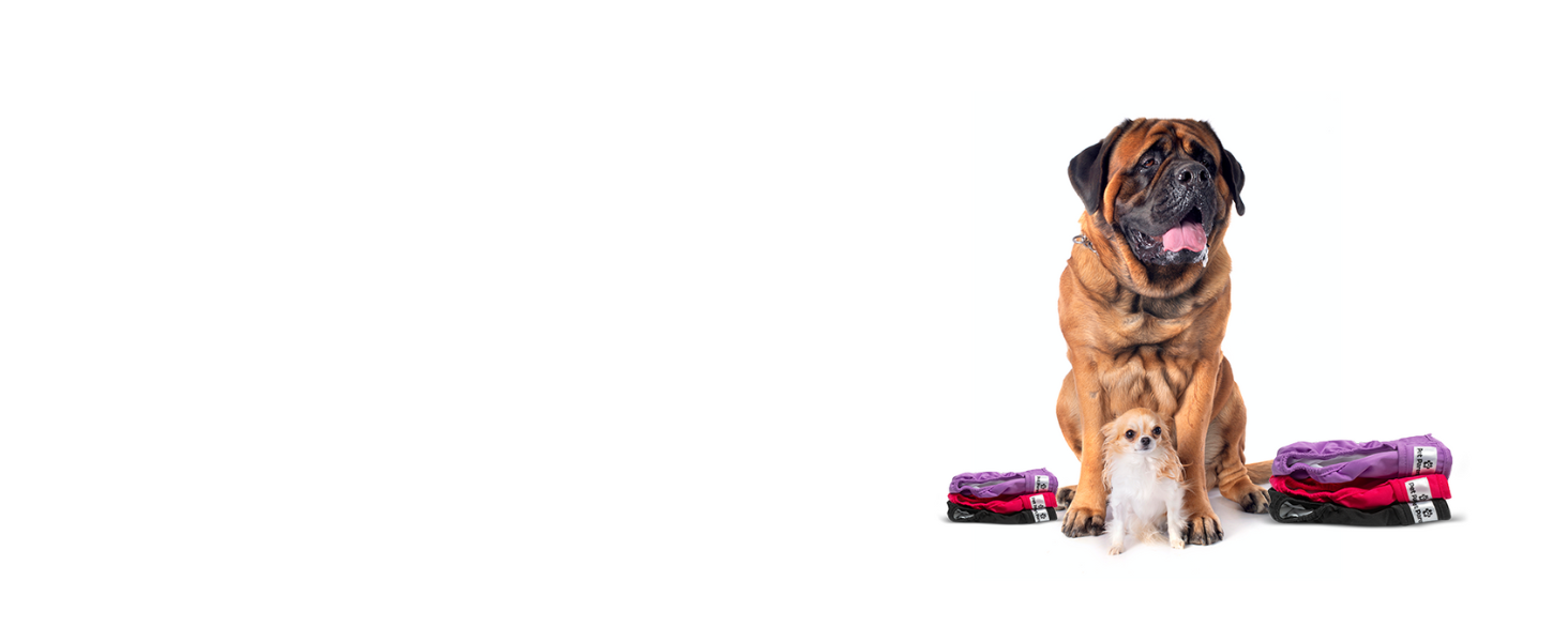premium washable reusable dog diapers male, female dog diapers, doggie diapers, puppy diapers